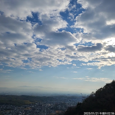 京都ポニーどうぶつえん 사진 3
