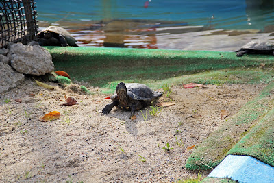 Children's Zoo Otogi-no-Kuni 사진 4