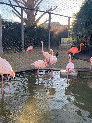 Children's Zoo Otogi-no-Kuni 사진 2