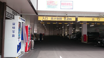 Cosmos Shoei 사진 5