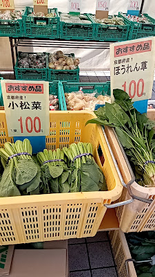 Drug Yutaka 사진 2