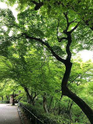 Tomiya 사진 4