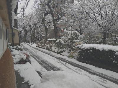 Ryokan Yuhara 사진 5