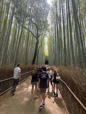 TOURS IN KYOTO 사진 4