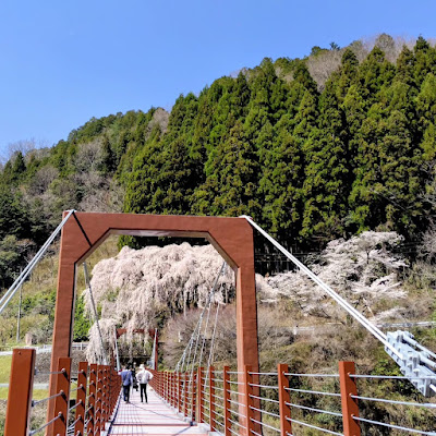 芦見谷 芸術の森 사진 3