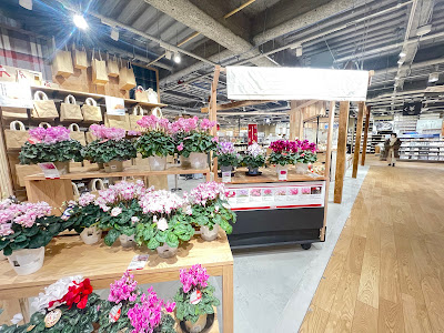Muji 사진 5