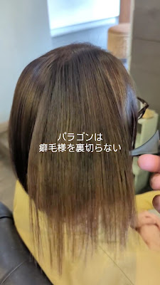 パラゴン ヘアー 사진 2