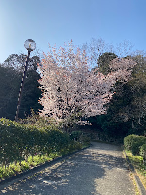 Okamedani Shimizu Orthopedic Clinic 사진 3