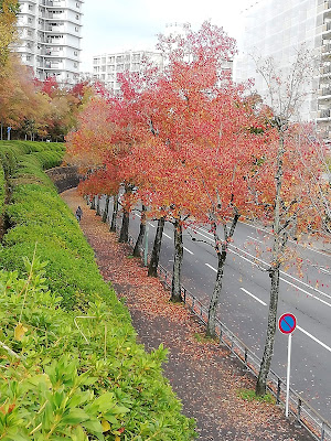 Curves 사진 4