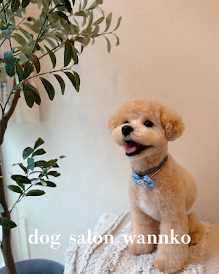 ドッグサロン わんこ 사진 2