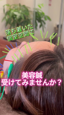 Ruishinkyu Acupuncture 사진 2