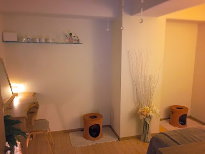 garden 사진 3