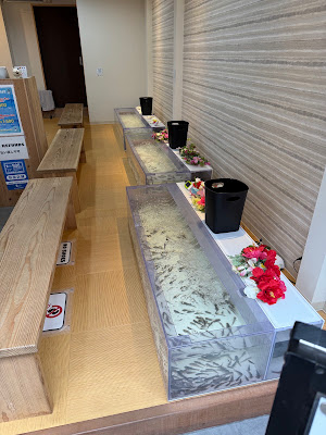 Fish Spa Kyoto 사진 3