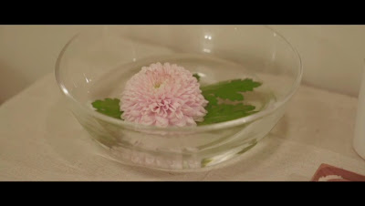 AROMATHERAPY SALON PAN 사진 2