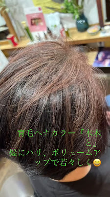 Hair's Fellow 사진 2