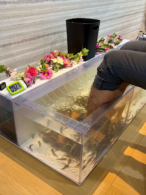 Dr.Fish 사진 2
