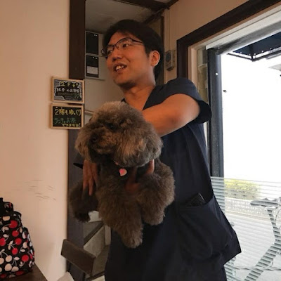 ペット整体 YUBA