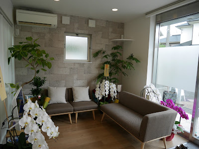 Moriishinkyu Acupuncture 사진 3