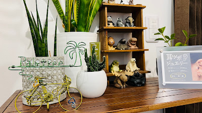 Palm Tree 사진 5