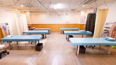 Tree Acupuncture and Moxibustion Osteopathic Clinic Muko City