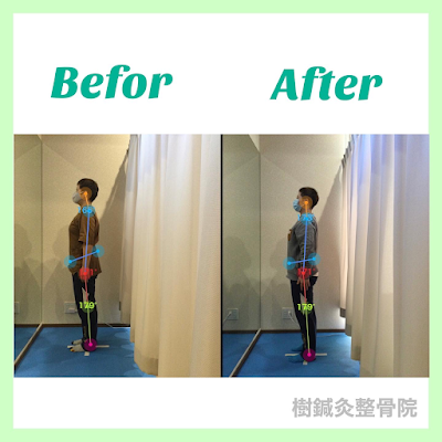 樹鍼灸整骨院 사진 3