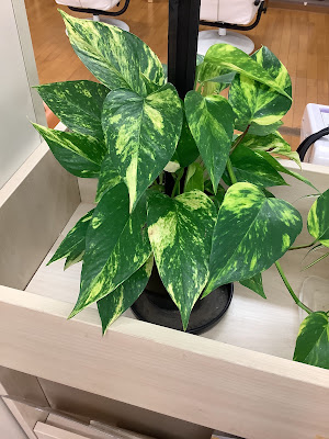 ライフ整骨院 伏見 사진 3
