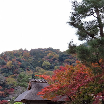 Mizushima Acupuncture Orthopedic Clinic 사진 3