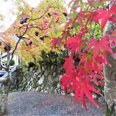 Mizushima Acupuncture Orthopedic Clinic 사진 4