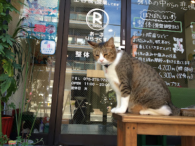 Rリラックス 사진 4