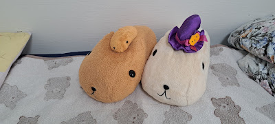 カピバラ整体院 사진 4