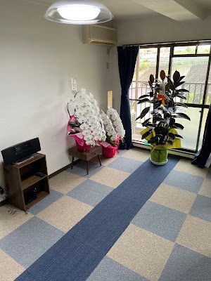 Hallelujah Harikyu Clinic 사진 5