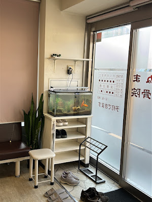 Suganuma Acupuncture Orthopedic Clinic 사진 3