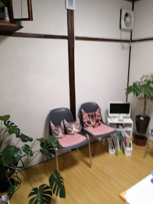 オオタヤ整骨院 사진 4