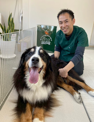 【犬の整体】anDog ワンちゃんと飼い主のための整体 ペット整体 ドッグ整体 ヘルニア パテラ 歩き方 사진 3