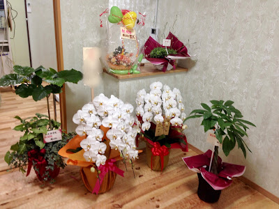 Okamoto Shiatsu Orthopedic Clinic 사진 3