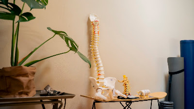 Kyoto Physio 사진 4