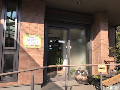 Hattori Orthopedic Clinic 사진 4