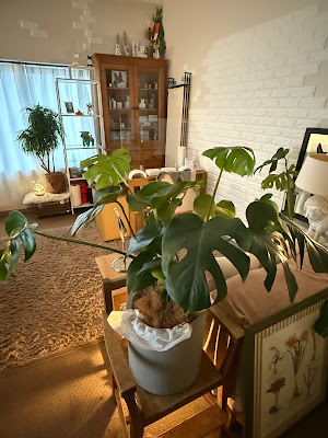 プライベートサロンエイル Private salon Aile 사진 3
