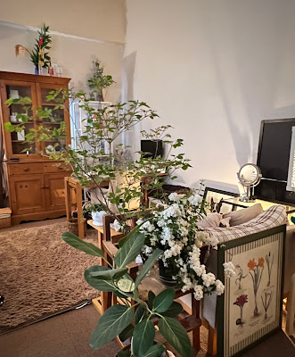 プライベートサロンエイル Private salon Aile 사진 4