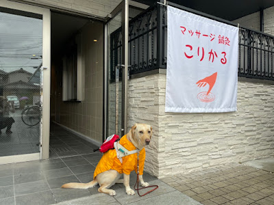 こりかるマッサージ鍼灸 사진 4