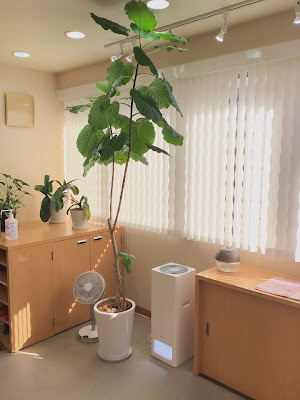 烏丸御池鍼灸院｜不妊鍼灸 사진 3