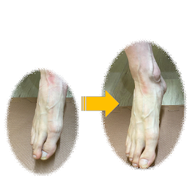 Todaharikyu Acupuncture 사진 3