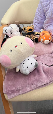 たなか鍼灸マッサージ院 사진 2