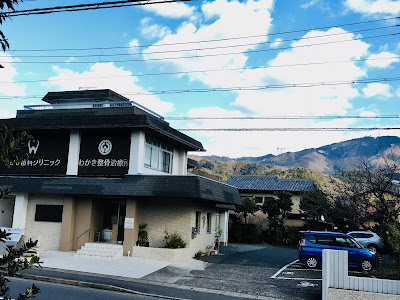 わかき整骨治療所 사진 2