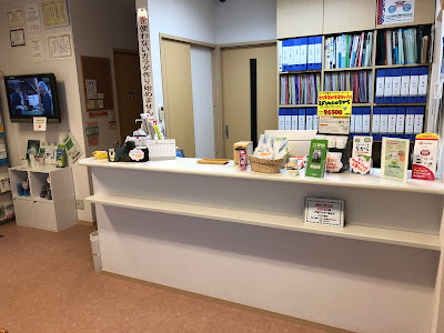 Kubo Orthopedic Clinic 사진 5