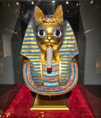 The Cat Family History Museum 사진 4