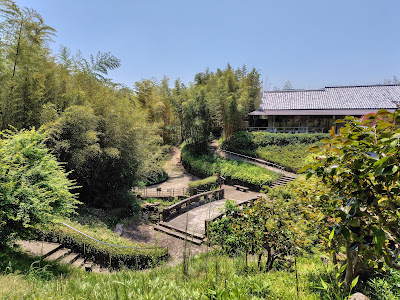 Bamboo Museum 사진 3