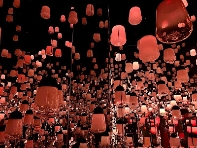 teamLab Biovortex Kyoto 사진 3