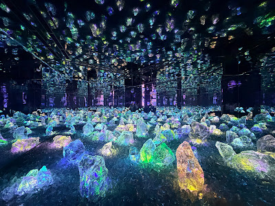 teamLab Biovortex Kyoto 사진 4