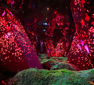 teamLab Biovortex Kyoto 사진 5